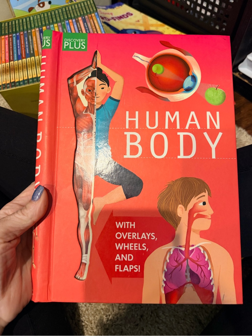 Discovery Human Body Interactive Learning Book - Bright Red Cover